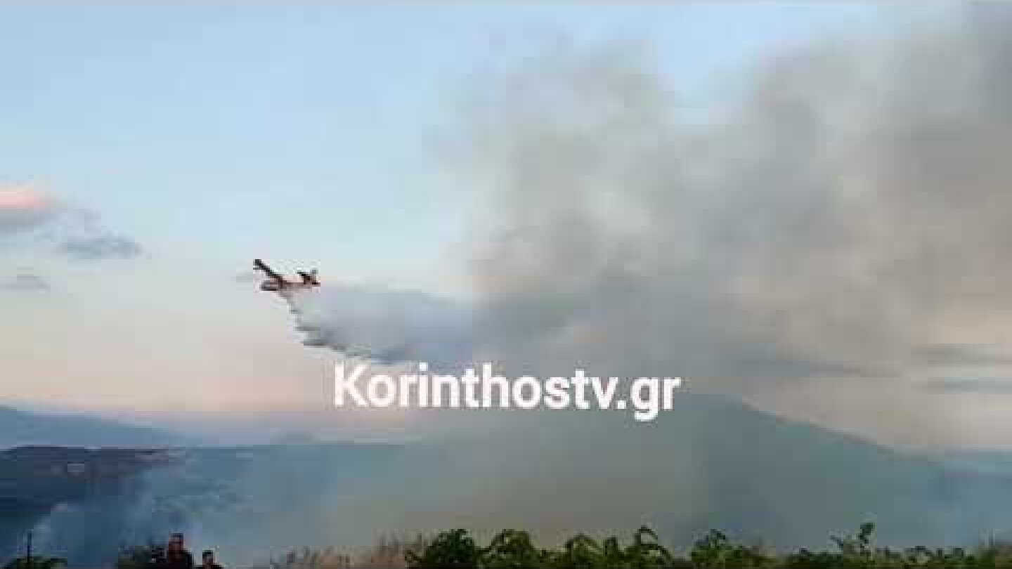 Πυρκαγιά στην Κορινθία: Tελευταίες ρίψεις των εναέριων μέσων στο Χαλκί του Δήμου Βέλου - Βόχας