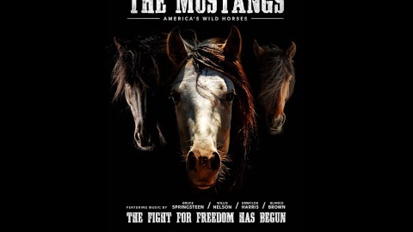 The Mustangs: America's Wild Horses (Official Trailer)