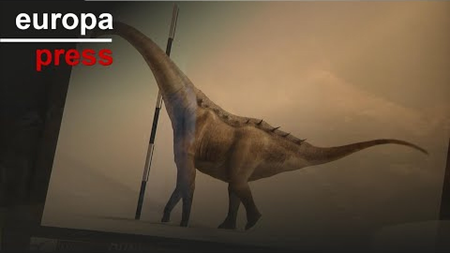 Qunkasaura se une al Lohuecotitan para formar nuevo grupo de dinosaurios afincados en Cuenca