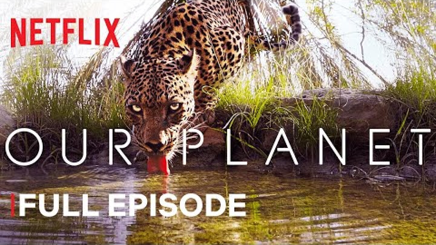 Our Planet | From Deserts to Grasslands | FULL EPISODE | Netflix