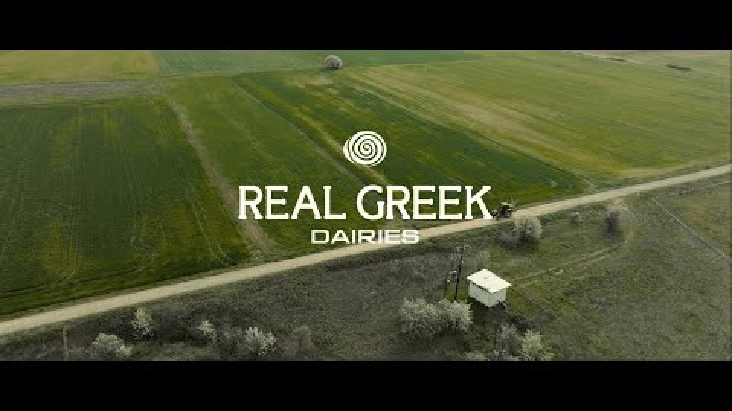 Real Greek Dairies