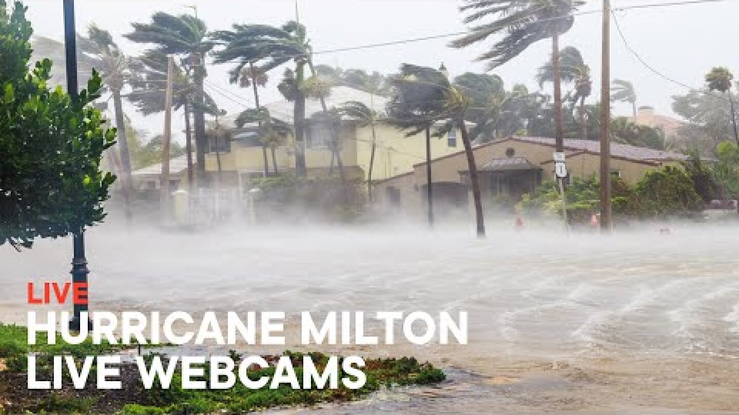 Hurricane Milton 2024 Live Stream - Live Webcams