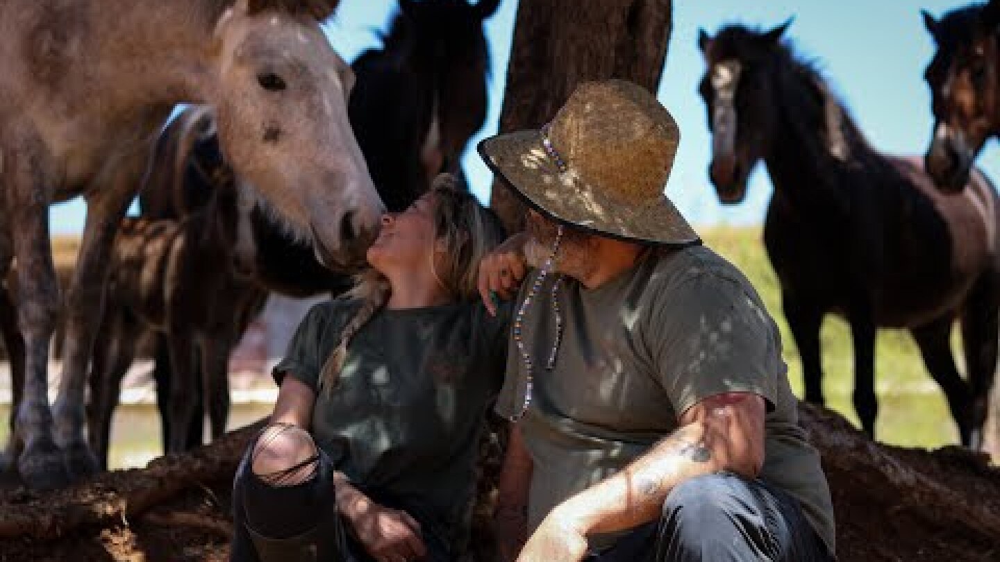 Εθελοντική Δράση για τα Άλογα του Υμηττού | Help Horses Ymittos & Athens Happy House