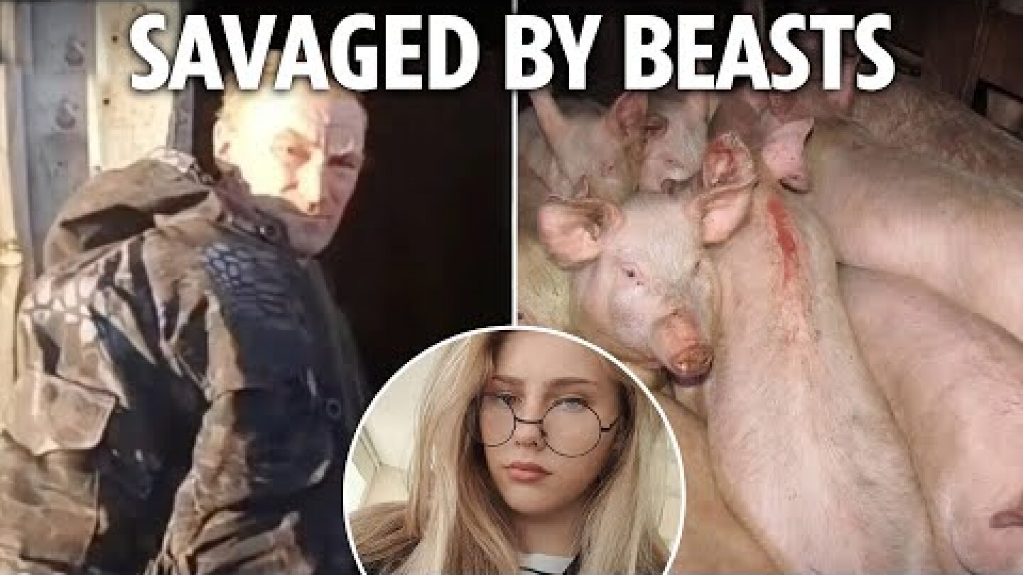 Pigs maul girl, 17, to death after farmer 'knocked her out and tried to feed her to them'