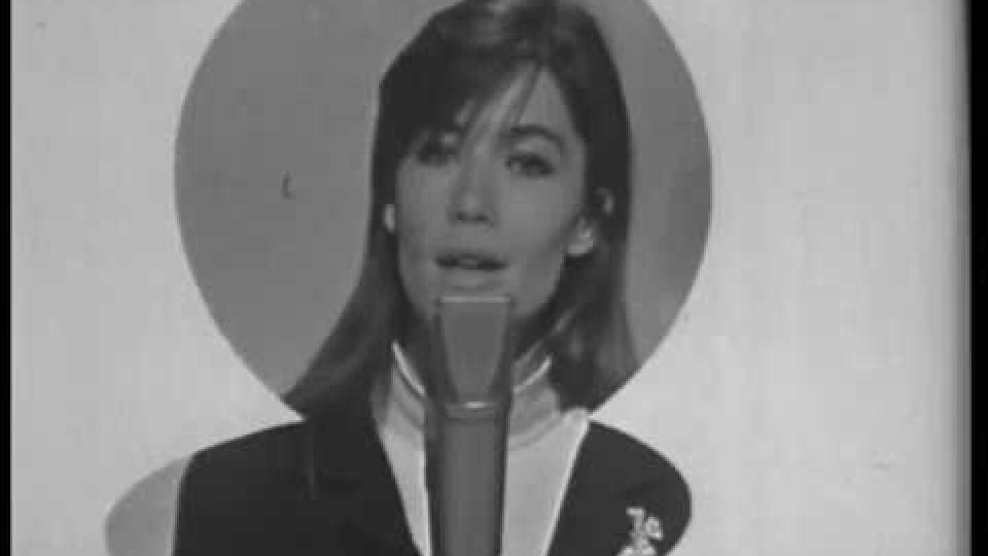 Françoise Hardy - Il ny a pas damour heureux