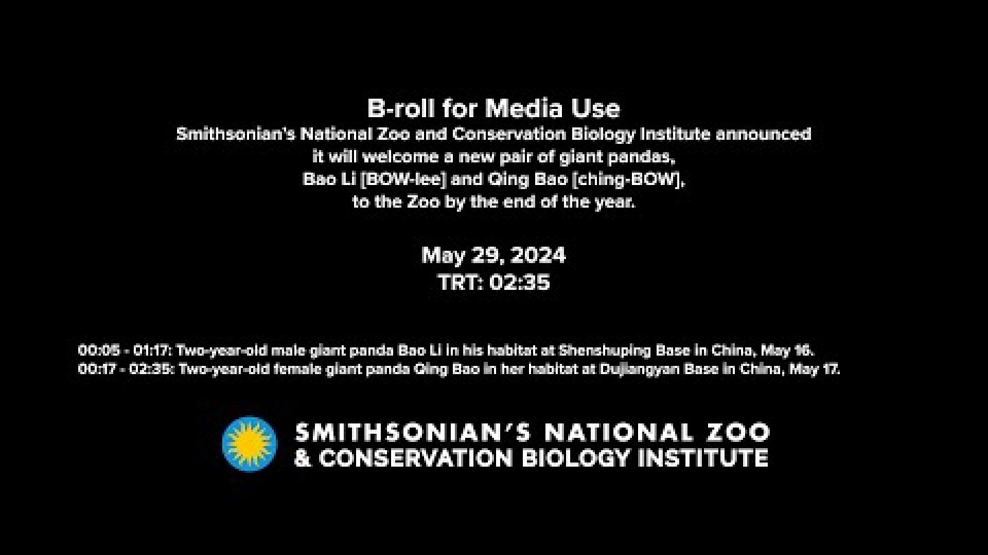 B-roll: Two New Giant Pandas Coming to Smithsonian’s National Zoo and Conservation Biology Institute