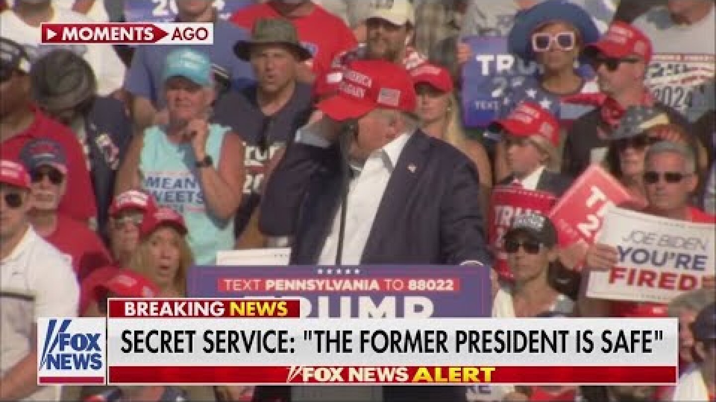WATCH: Moment Trump appears to be shot at rally