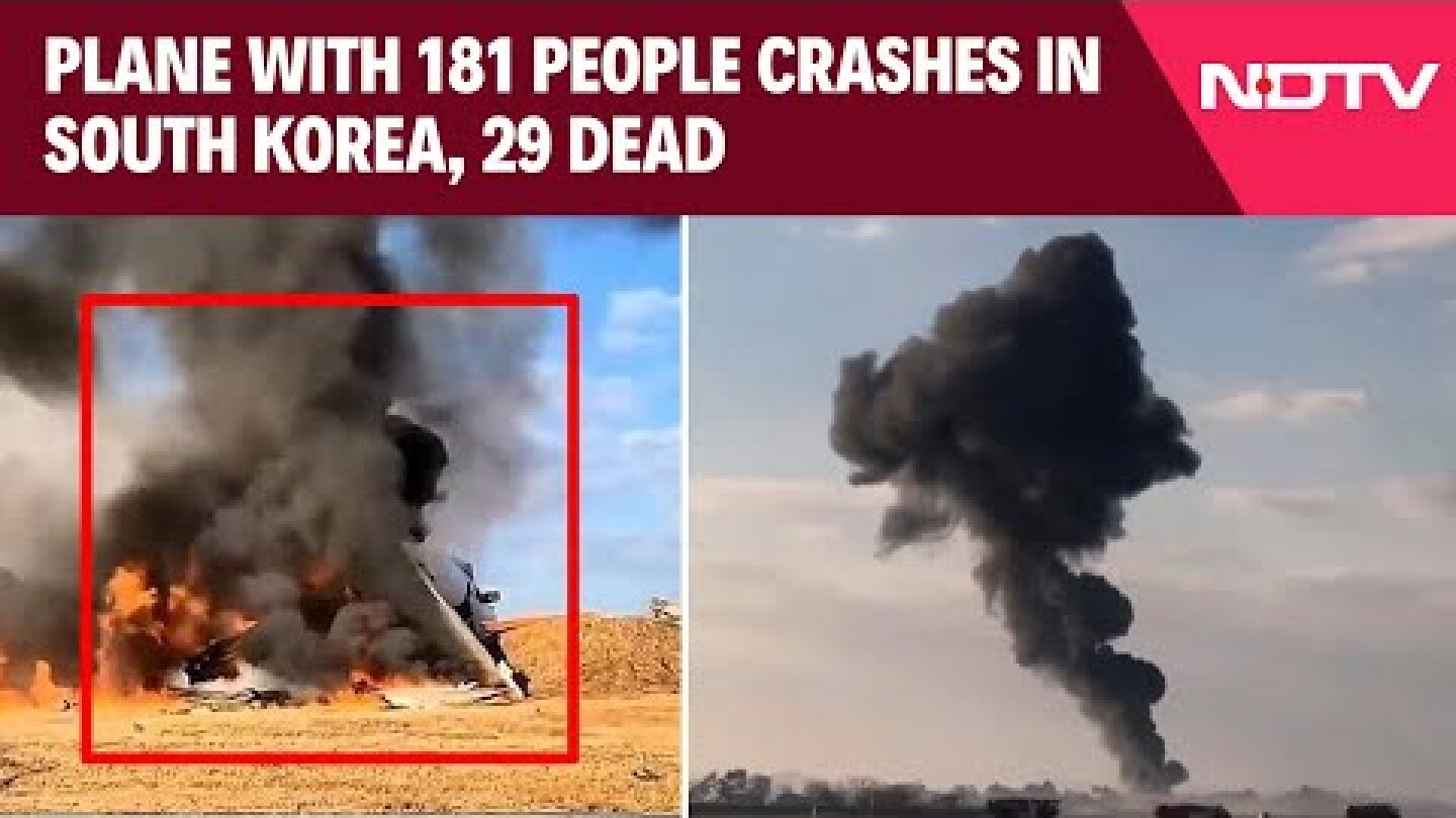 South Korea Plane Crash | Plane With 181 People Veers Off Runway, Crashes In South Korea, 29 Dead