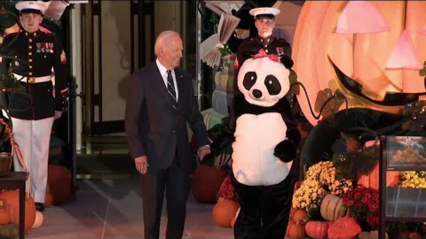 Jill Biden greets trick-or-treaters at White House dressed as giant panda