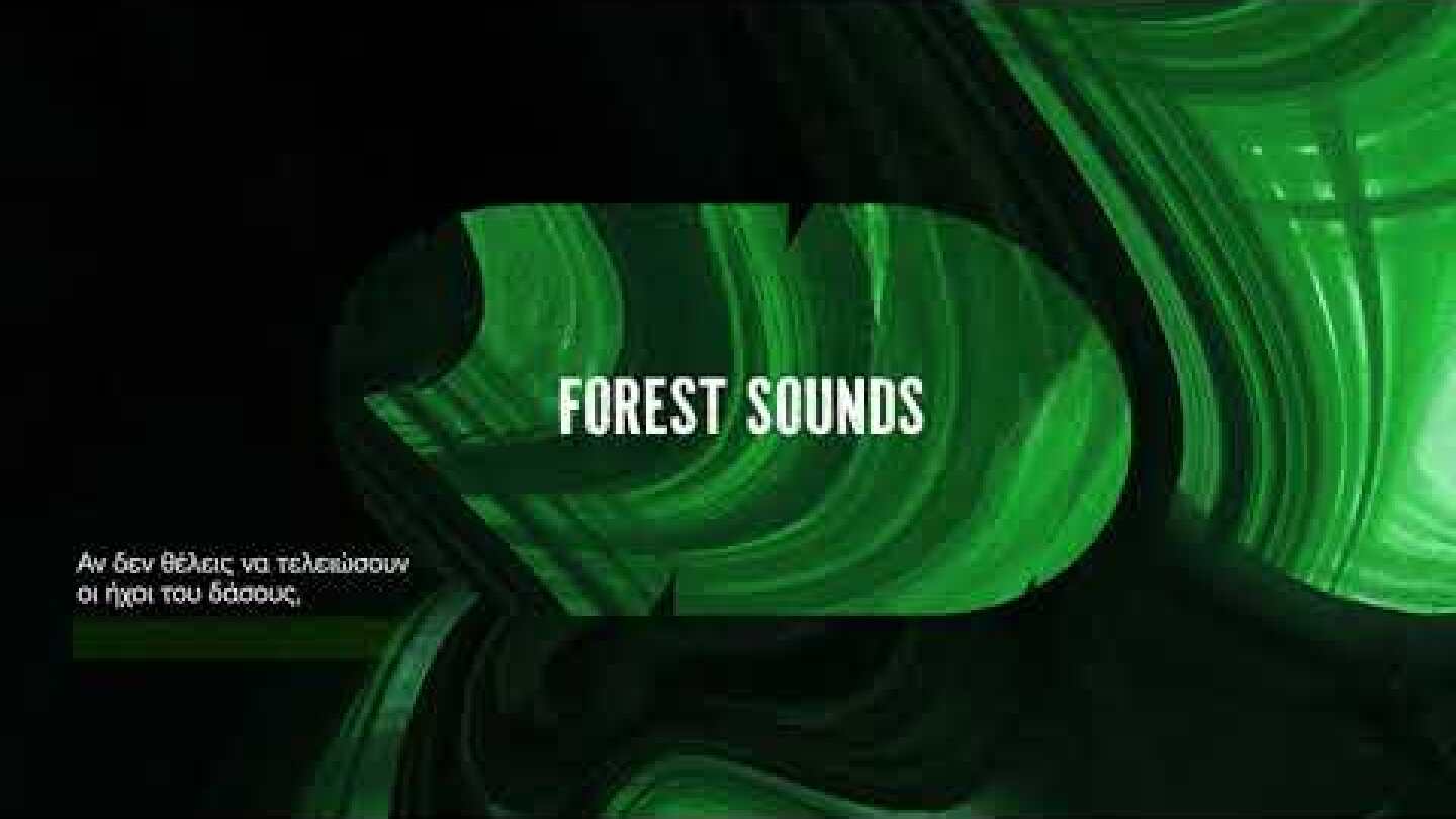 Forest Sounds | Greenpeace