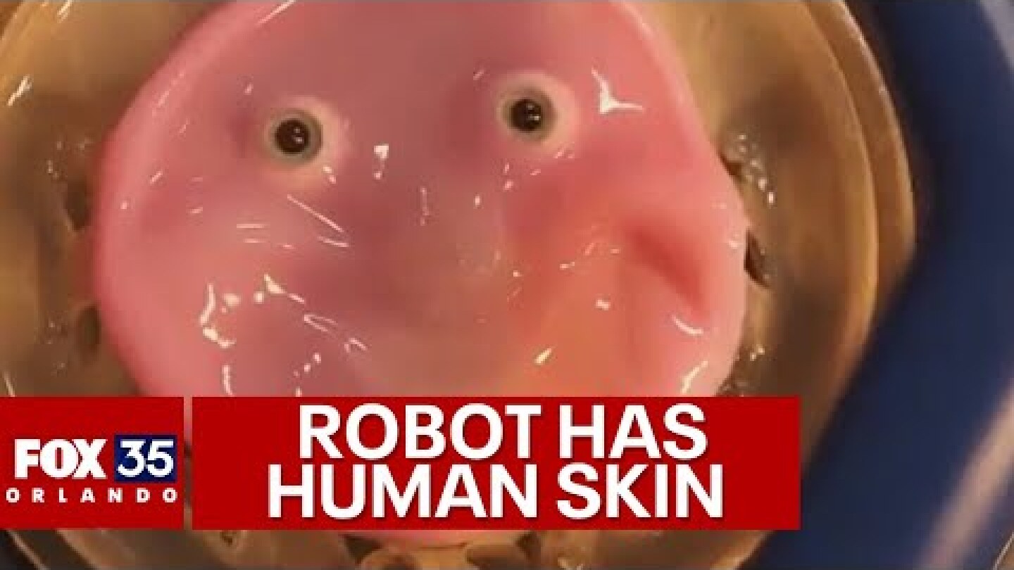Robot skin: Scientists in Japan create lab-grown humanoid face with human skin