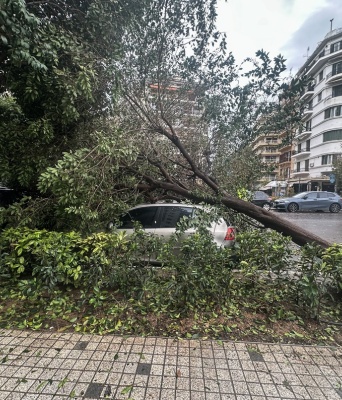 Δέντρα πεσμένα σε δρόμους και αυτοκίνητα στη Θεσσαλονίκη