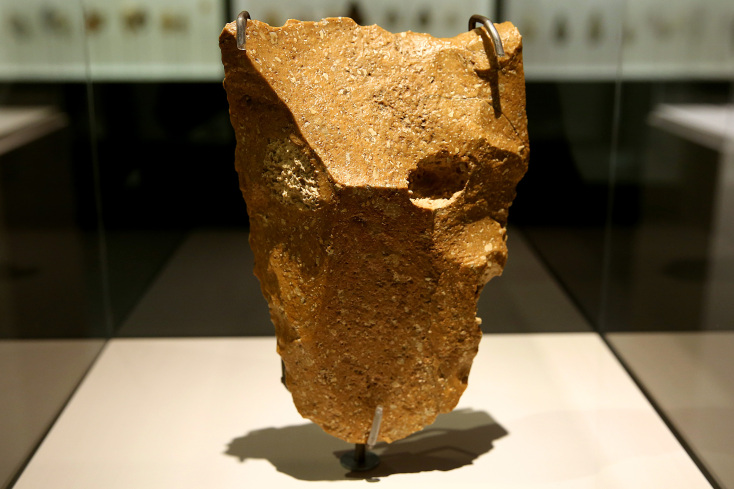 Κοπέας με πρόσωπο αιλουροειδούς, περ. 800.000 - 300.000 χρόνια, που βρέθηκε στη Μαυριτανία