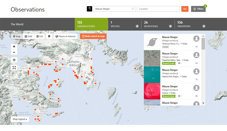 Ο διαδραστικός χάρτης στην πλατφόρμα inaturalist με τις μωβ μέδουσες σε Αττική και άλλες περιοχές στην Ελλάδα